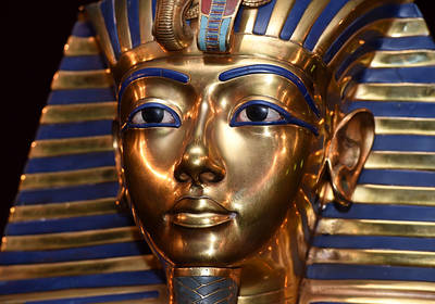 Родословная Тутанхамона больше не тайна: генетики выяснили правду о его родителях