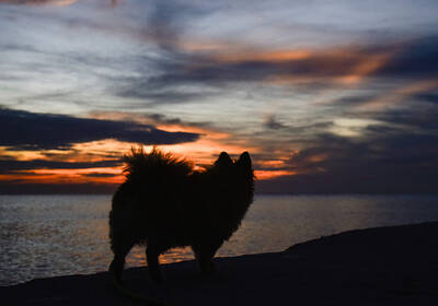 Магнитные бури, прогноз на 4, 5, 6 декабря: все дни объявлены "красными"