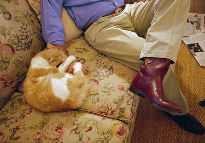 Ученые выяснили, почему кошки активнее реагируют на мужчин, а не на женщин