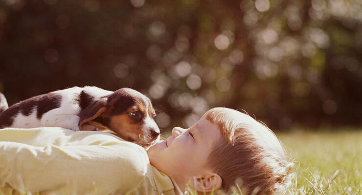 Как собака в семье может незаметно влиять на психику и внутренний баланс подростка