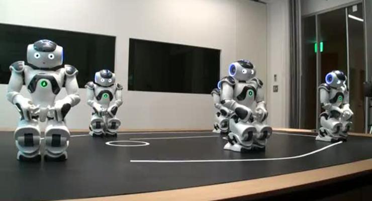 Французские роботы обучат японцев движению