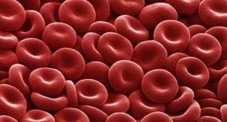 Клетки крови научились делать из кожи