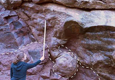 Самую старую нору нашел Симпсон