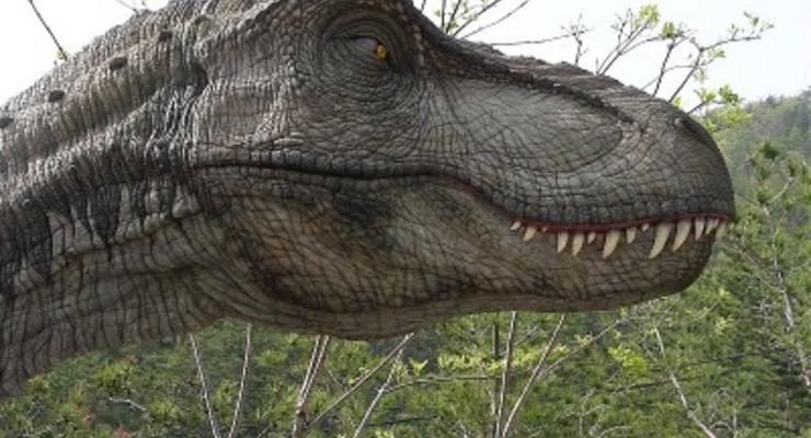 На австралийской ферме нашли неизвестного динозавра