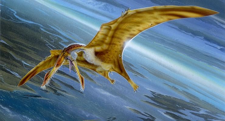 Ученые выяснили, как взлетали птерозавры