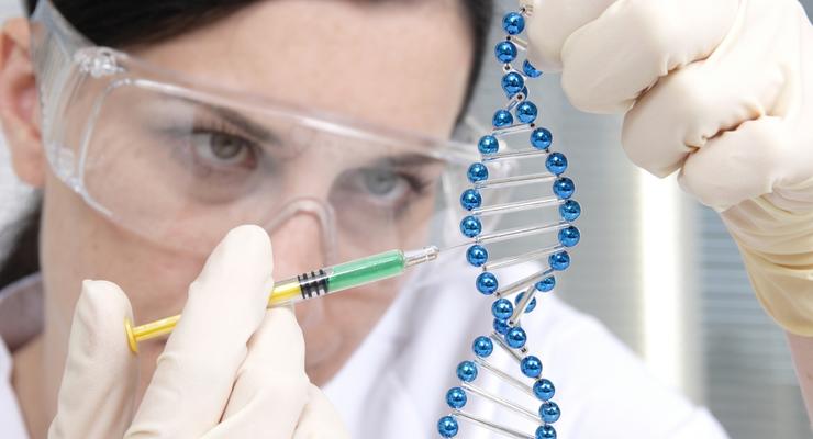 Тетрис поможет изучить геном человека