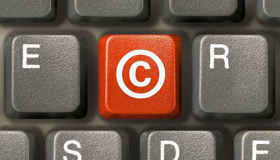 Пирата посадили в тюрьму на два с половиной года