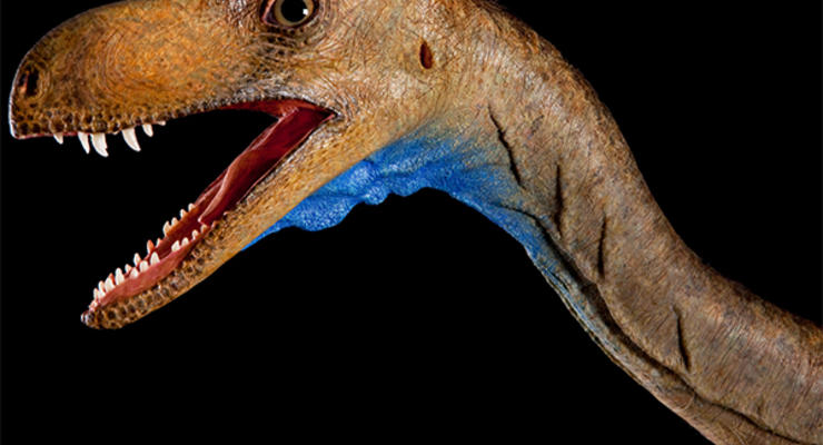 В Аргентине нашли  небольшого динозавра
