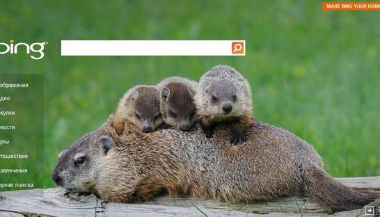 Поисковик Microsoft ворует данные у Google