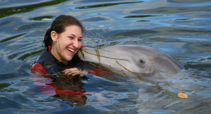 Дельфины и люди нашли общий язык
