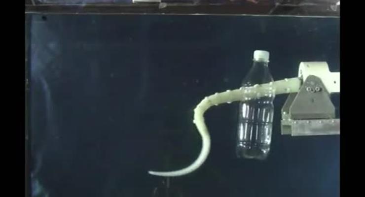 Британские роботехники создали щупальце осьминога