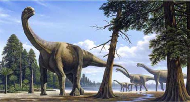 Ученые поняли, зачем динозаврам были нужны длинные шеи
