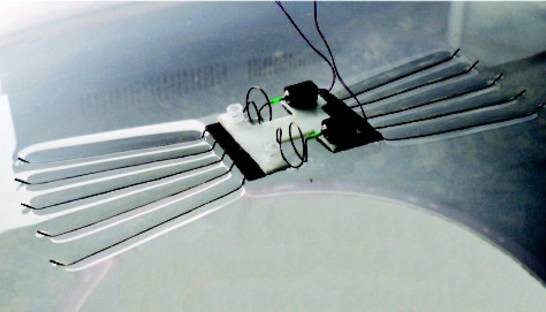 Робота научили ходить по воде