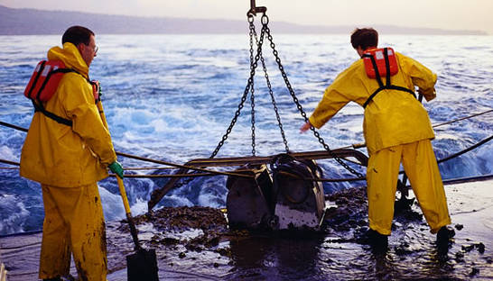Глубоко под водой обнаружены загадочные существа