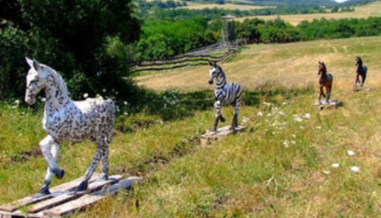 Ученые выяснили, почему зебры полосатые