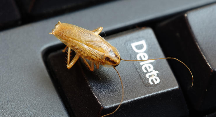 Усатые киборги: в тараканов вживили батарейки