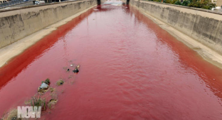 В Бейруте река превратилась в кровь (ВИДЕО)