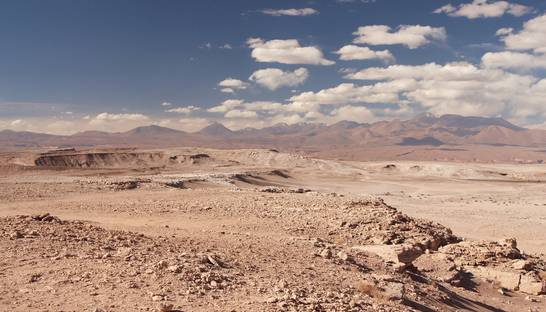 В самом сухом месте Земли нашли жизнь