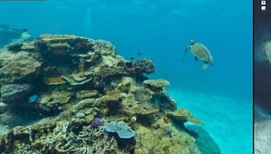 В интернете появятся панорамы Большого Барьерного рифа