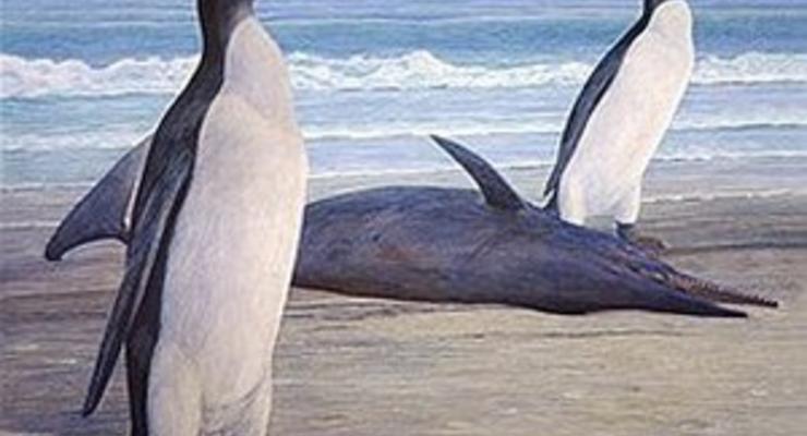 Палеонтологи нашли гигантского ископаемого пингвина