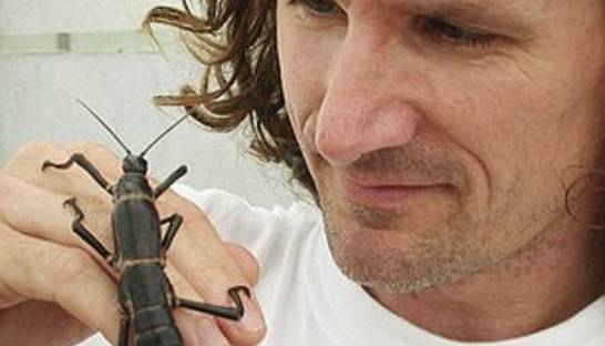 Ученым удалось развести гигантских шестиногих насекомых