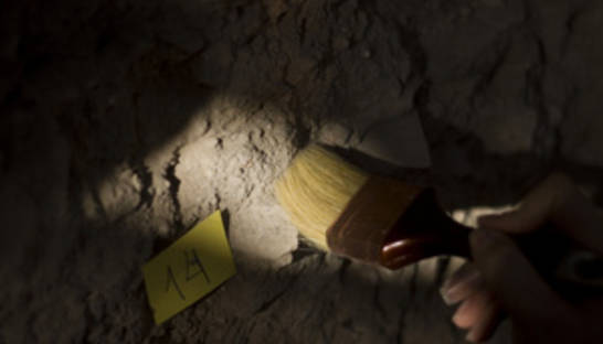 В Англии нашли тридцать тысяч древнеримских монет