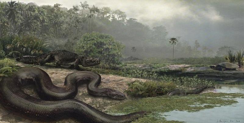 В США показали самую большую змею в истории / naturalist.if.ua
