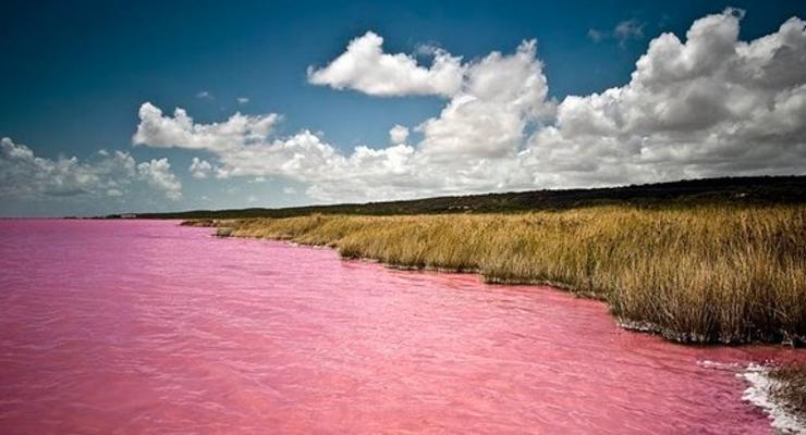 Интересный факт дня: розовое озеро