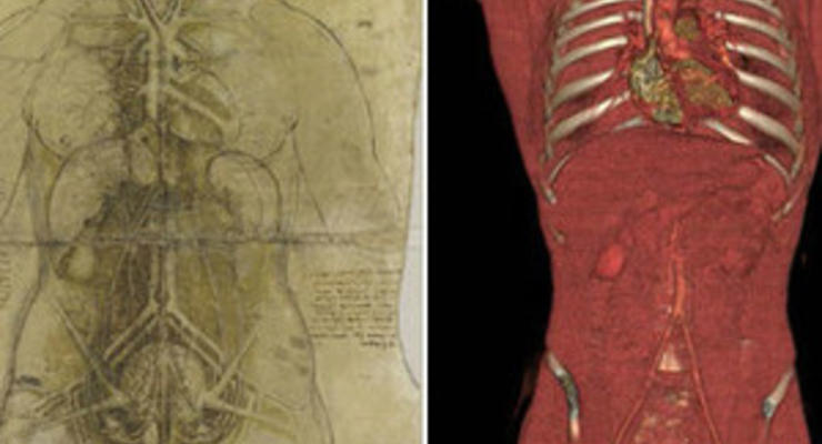 Би-би-си: Насколько точны анатомические рисунки Леонардо да Винчи?