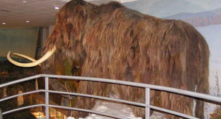 На Крите обнаружили карликовых мамонтов