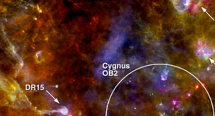 Астрономы нашли роддом для звезд в созвездии Лебедя