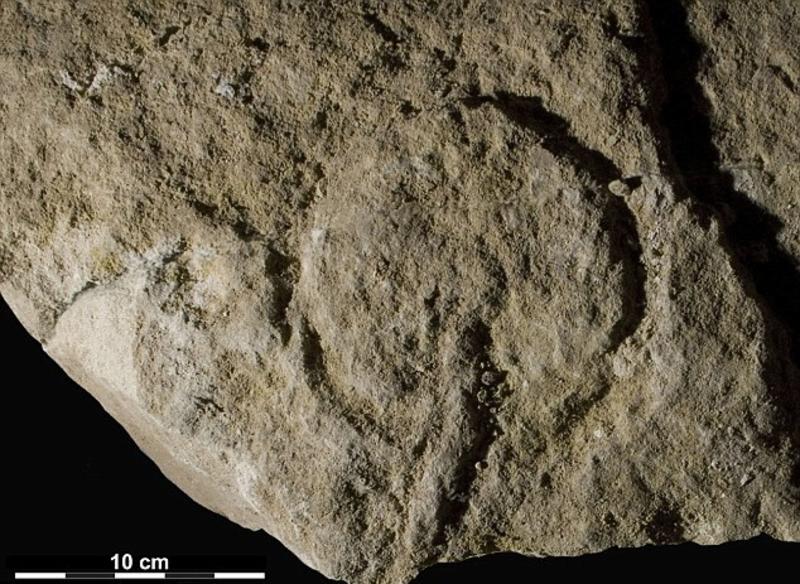 Интересный факт дня: археологи нашли старейшее порно / dailymail.co.uk