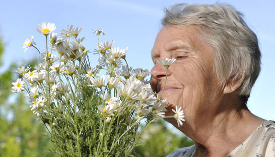 Интересный факт дня: почему старики плохо пахнут