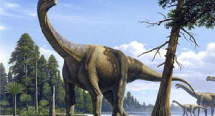 DW: Как брахиозавр похудел вдвое