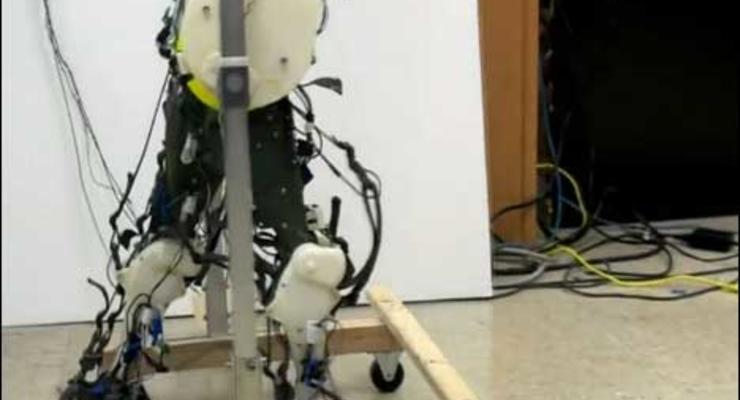 Ученые создали робота, который ходит как человек (ВИДЕО)