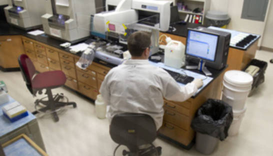 Американцы напечатали книгу на молекулах ДНК