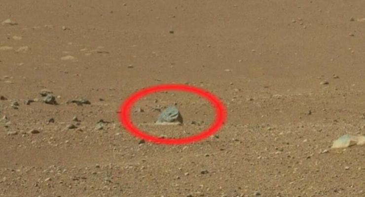 На Марсе нашли доказательство жизни: ботинок и змею