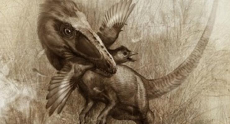 Пернатые динозавры питались предками птиц