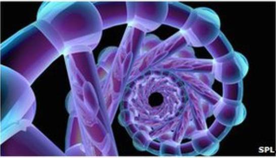 Ученые впервые составили самую полную карту ДНК человека