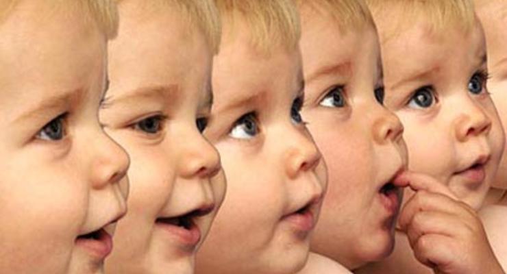 Обращение вспять и взросление клонирования: за что вручили первого Нобеля 2012 года