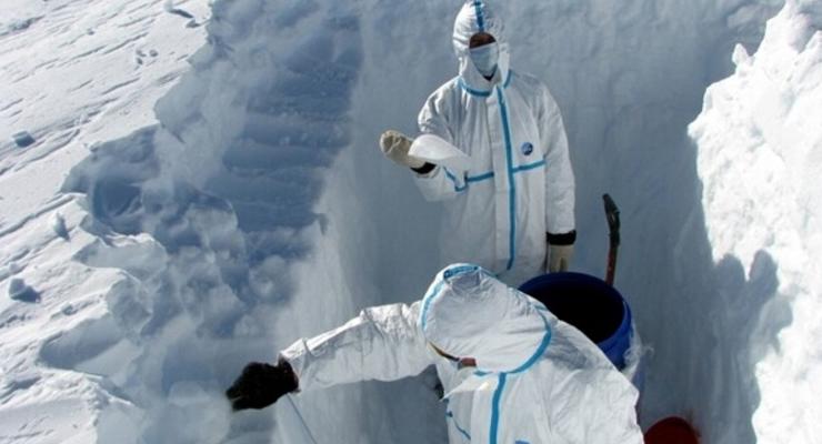 Жизни нет: Антарктида разочаровала ученых
