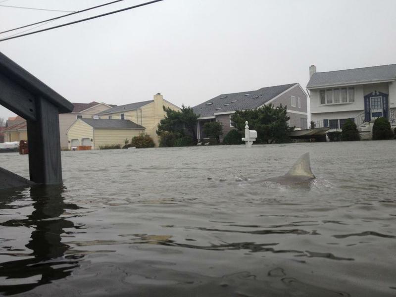 Фото урагана Сэнди оказались ненастоящими: ТОП-10 фальшивок / facebook.com