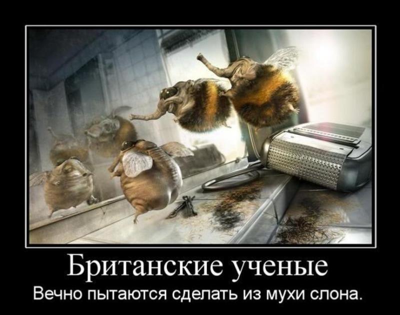 Запрета нет: 10 главных мемов Луркоморья