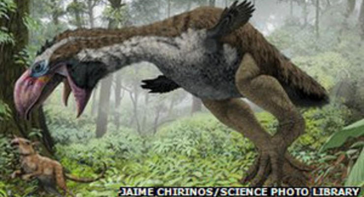Ученые: гигантская птица была "спокойным травоядным"