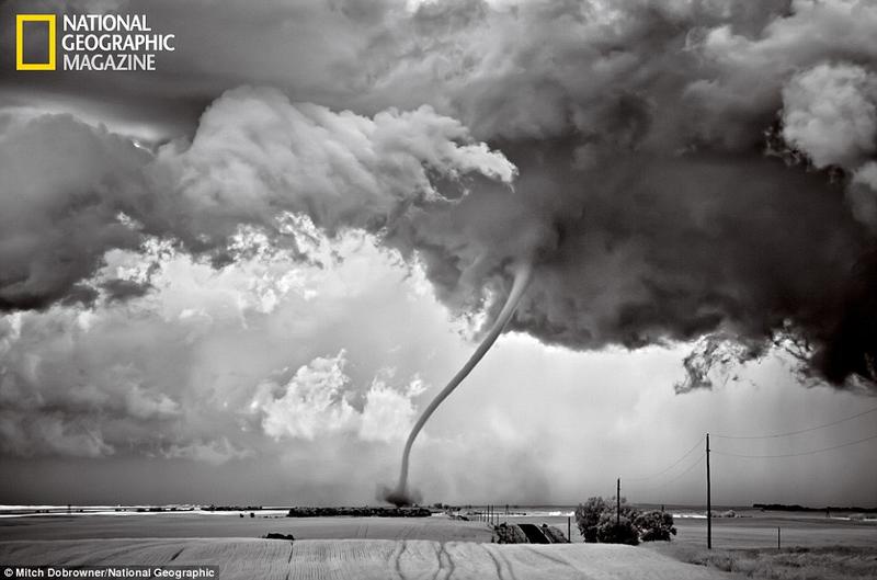 Самые феноменальные фотографии 2012 года от National Geographic (ФОТО) / dailymail.co.uk