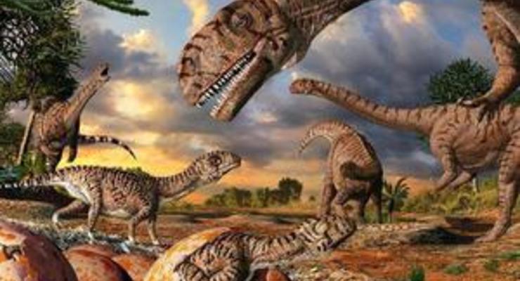 DW: Что общего между деревом, динозавром и антилопой?