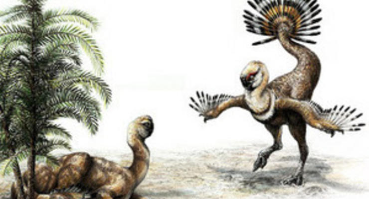 Древние кокетки: динозавры привлекали самок хвостом
