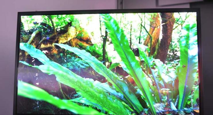 Sony представила OLED-телевизор с большой диагональю (ФОТО)