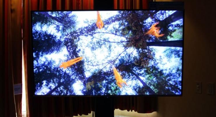 Телевизор-гигант продают по космической цене (ФОТО)