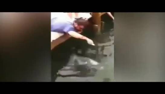 Рыбак, словивший рукой огромную рыбу, стал героем интернета